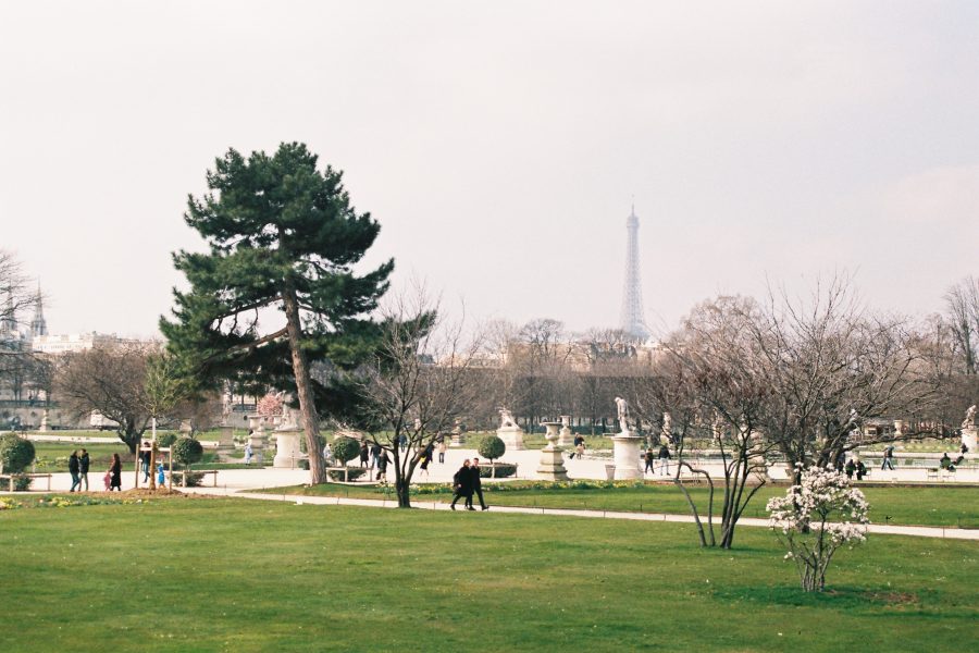 Jardin des Tuilleries - P1 2A